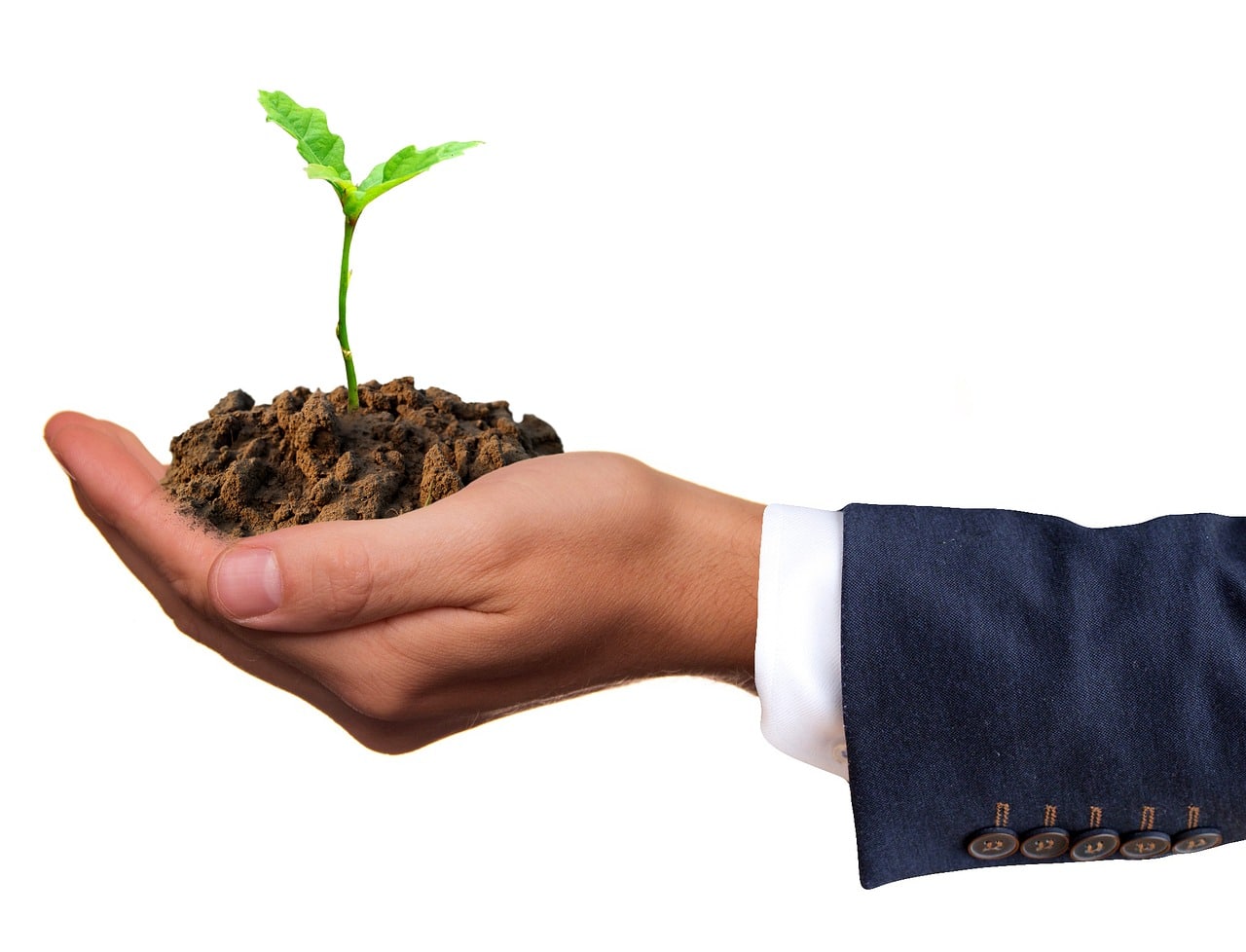 Nurturing green business principles through employee engagement programs