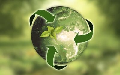 Embracing Business Sustainability Has Challenges and Rewards *