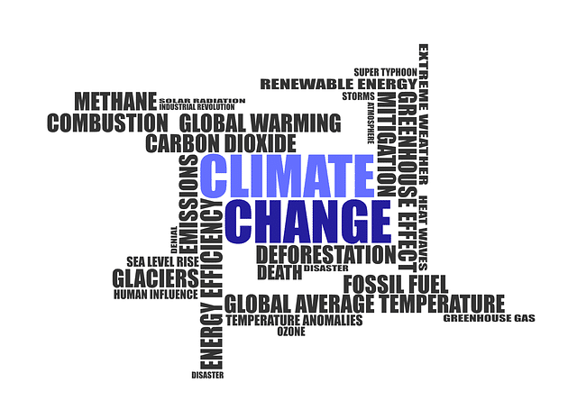 Climate change poses the biggest opportunities from an innovation perspective.