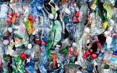 Can Committed Recycling Make You An Environmentalist? *