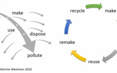 You Need to Know How Sustainability Embraces Circularity *