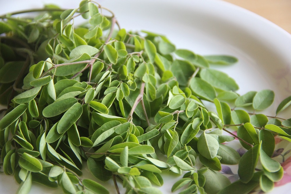 Moringa: Versatile Tree With Sustainable Superfood Powers