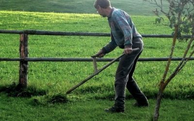 Mowing the Lawn Without Pollution