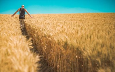 Building Local Food Resilience *