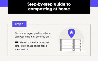 Infographic: How To Compost at Home