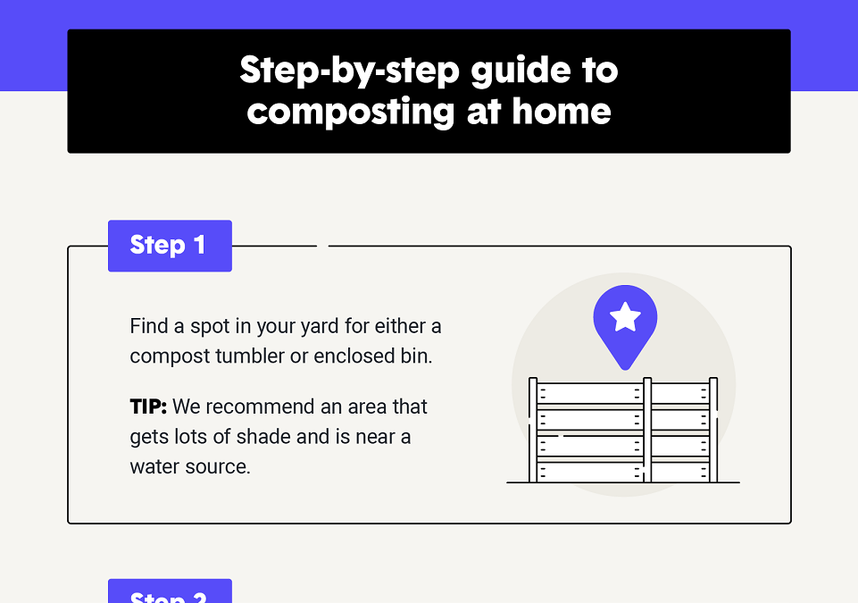 Infographic: How To Compost at Home