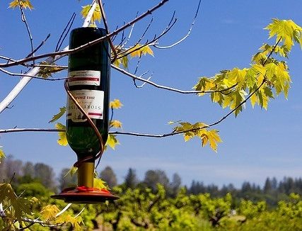Fun Ways To Reuse Wine Bottles And Corks