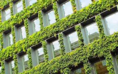 Urban Greening Post COVID-19: What It Means for Business