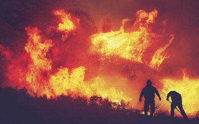 Wildfire Prevention: Where Safety and Environmentalism Connect