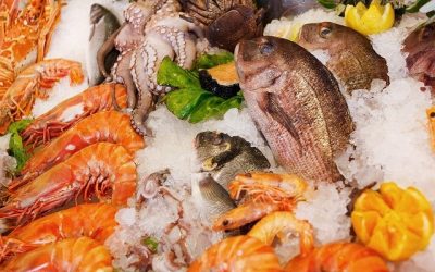 Good, Better, Best: The Environmental Impact of Seafood