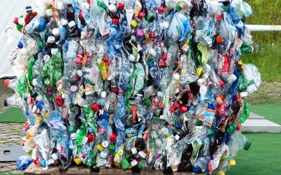 Our Plastic Crisis Has Made NIMBYism Global P