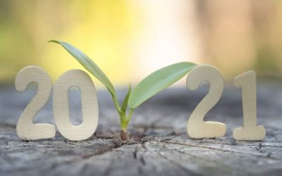 Predicting 2021’s Environmental Trends P