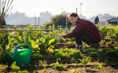 Have You Thought About Joining a Community Garden?